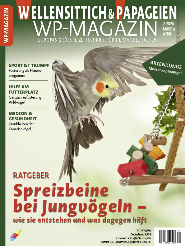 01_wp_2_2026-01_cover.jpg